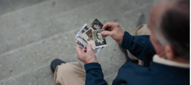 article preview