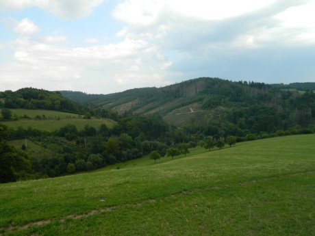 DSCN4436