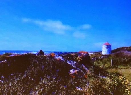 P1170064
