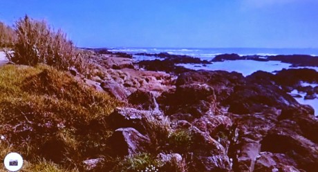 P1170065