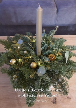 adventni_prani_naty_dory