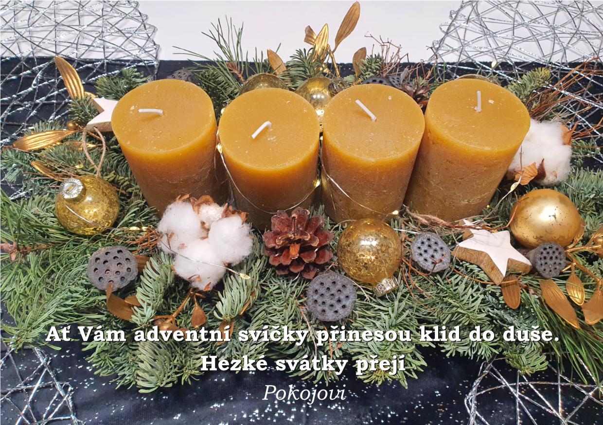 adventni_prani_pokojovi